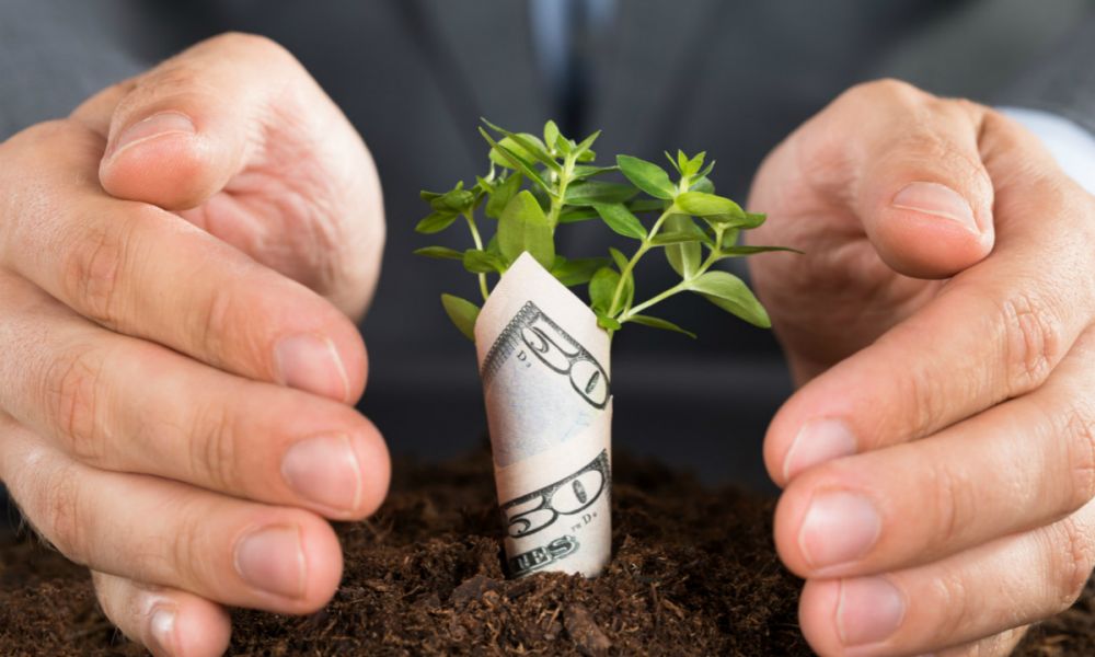 科技晚报:京东PLUS会员打通知乎 软银推出创新基(图5) Airbnb