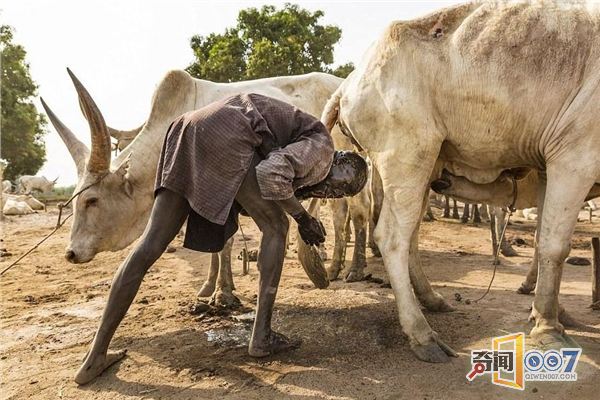 往身上涂牛粪,用牛尿洗头,这个部落的生活每天如此(图1) 往身上涂牛粪,用牛尿洗头,这个部落的生活每天如此(图1)