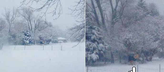 美国一懒马下雪天不进屋 爱躺着睡觉常被误以为已死(图1) 美国一懒马下雪天不进屋 爱躺着睡觉常被误以为已死(图1)